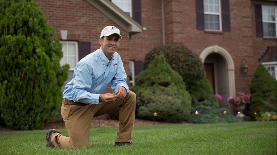 Cover photo of Lawn Doctor of Midland-Bay City